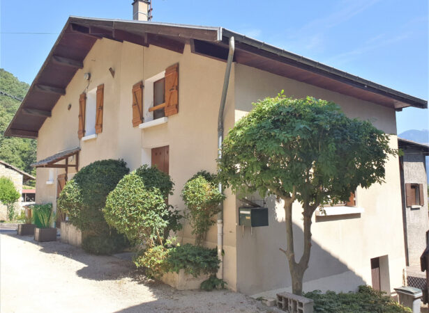 Bravis immobilier
